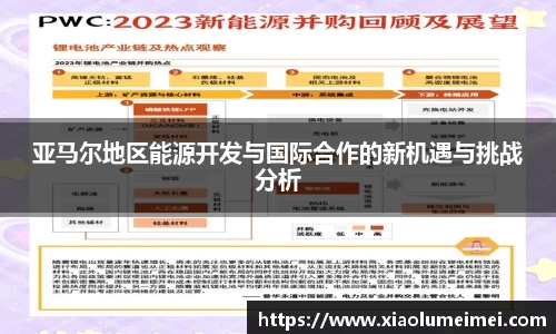 亚马尔地区能源开发与国际合作的新机遇与挑战分析